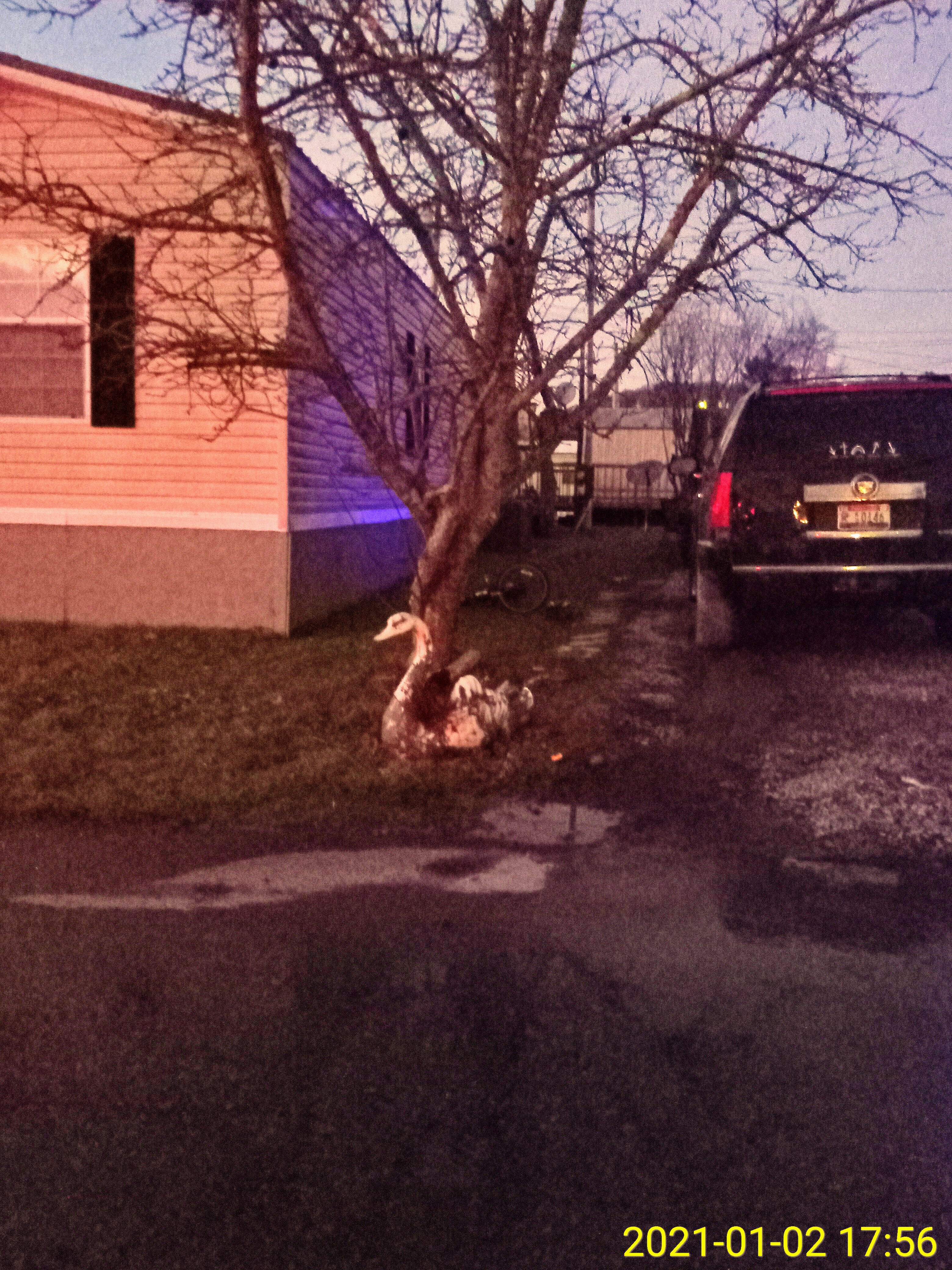 IMG_20210102_175614~2