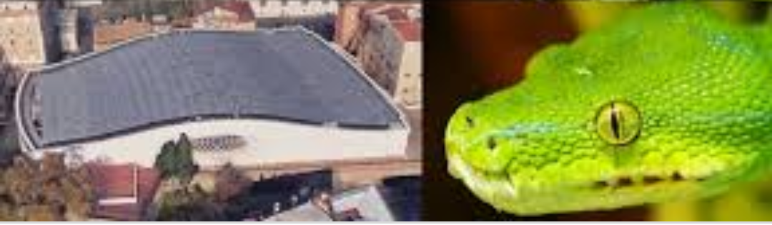 Vatican sanctuary building